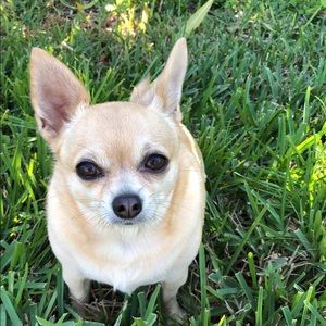 Meet your Posher, Patti